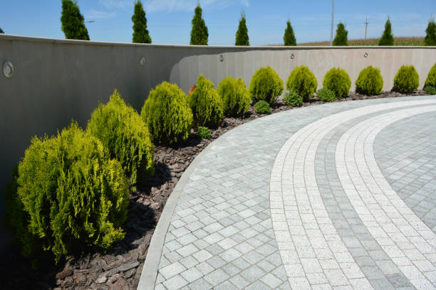 Best Driveway Paving Contractor  in Orangetree, FL